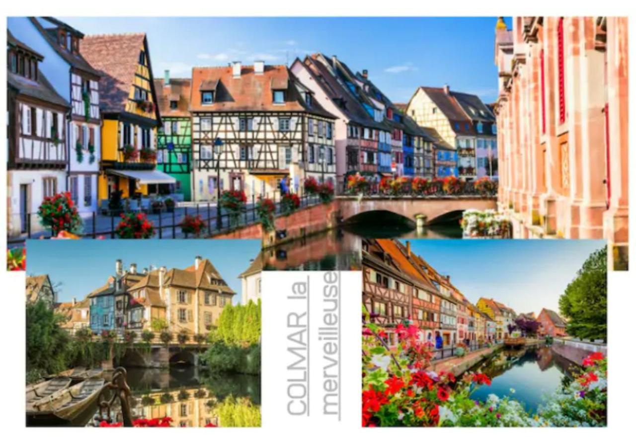Colmar-Famille&Pro-3 chambres - 8 pers-Wifi-clim Exterior foto